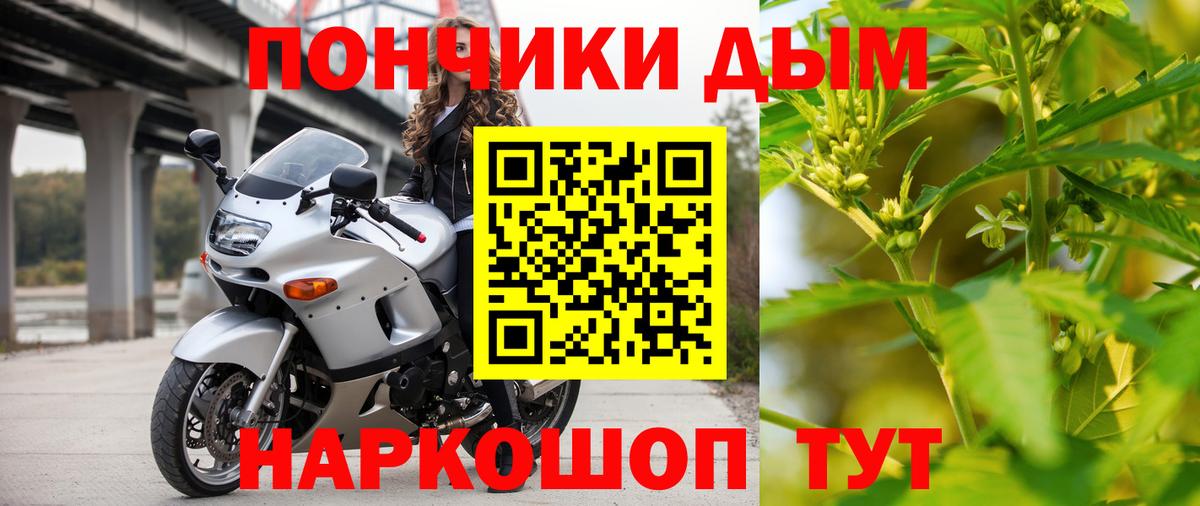 Конопля гибрид Новый Уренгой
